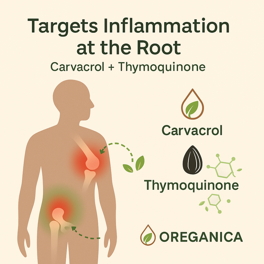 Oreganica™ Recovery Formula – Oil of Oregano + Black Seed Oil